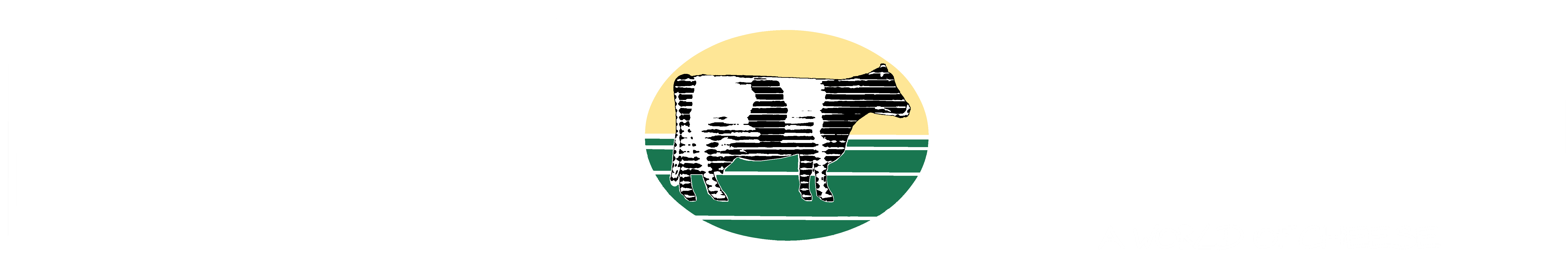 Springbank Cheese Co.